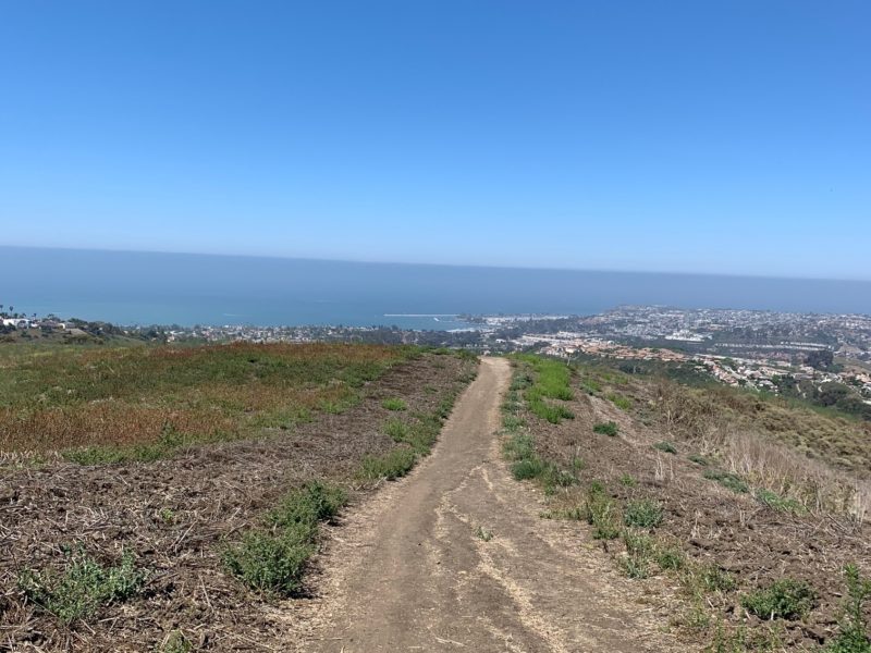 Harbor View Trail