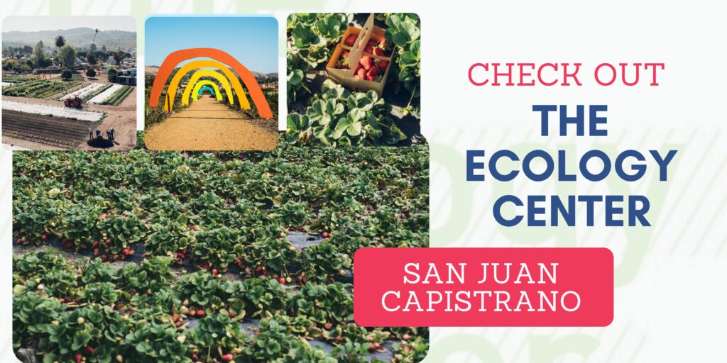 Ecology Center farms is a place in San Juan Capistrano part of Orange County CA where you can go strawberry picking 