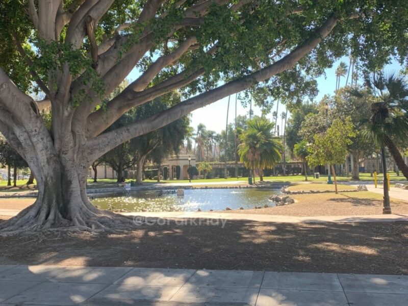 Pearson Park and Kobe's Dream Court